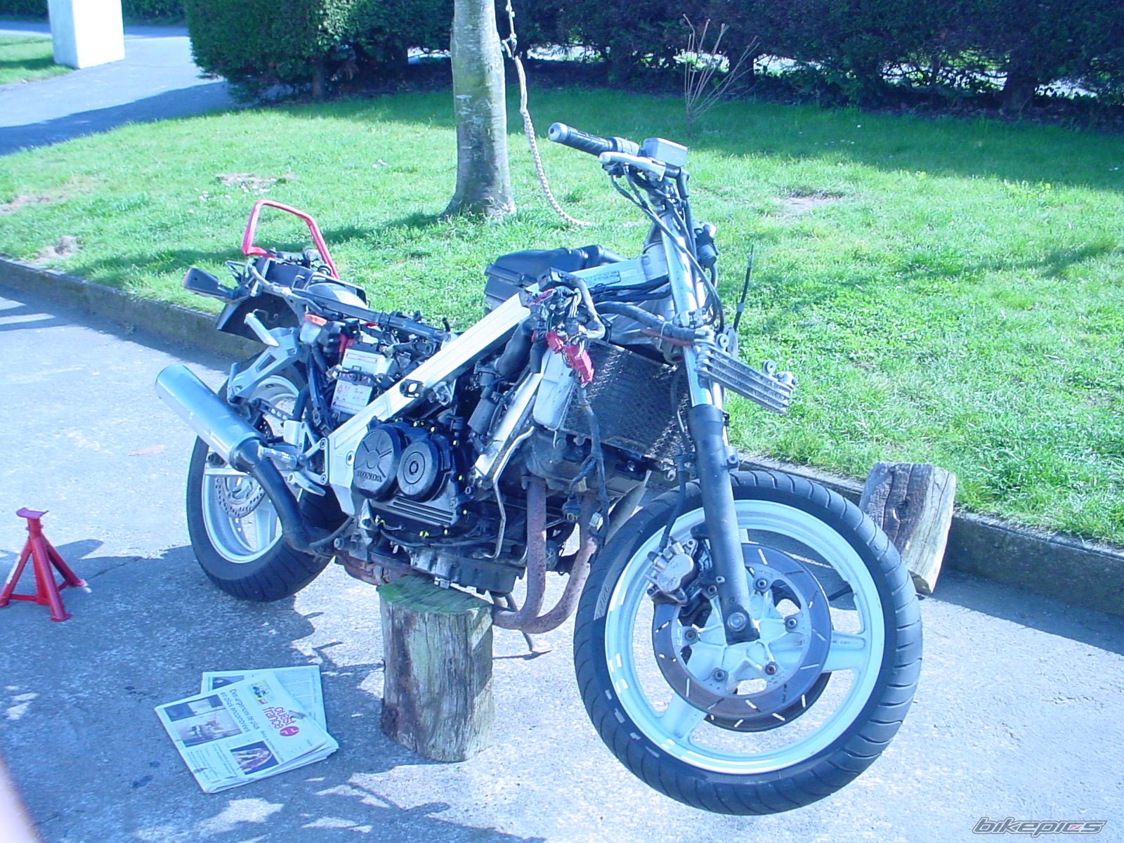 Photo 1441733