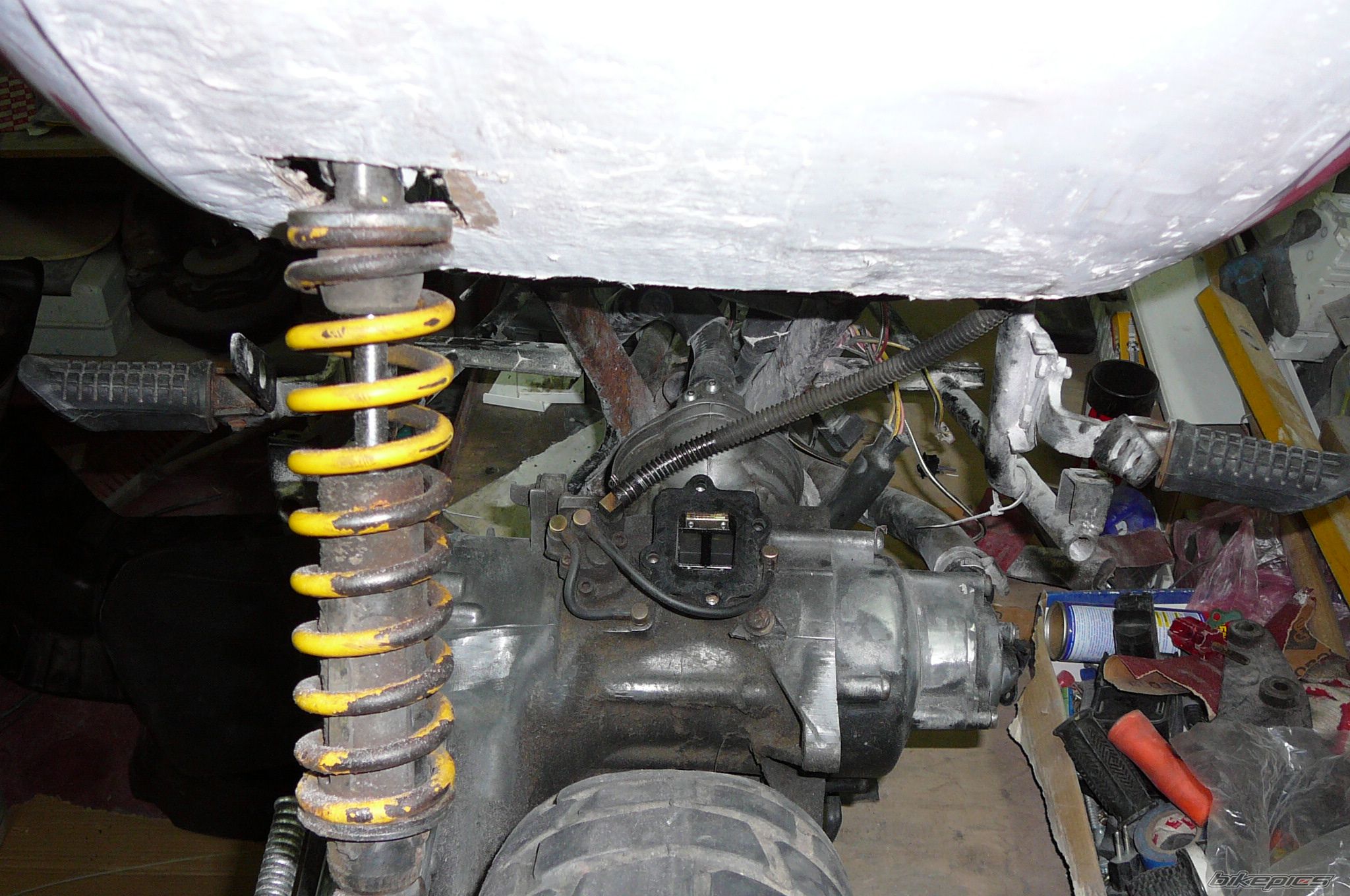 Photo 1441744