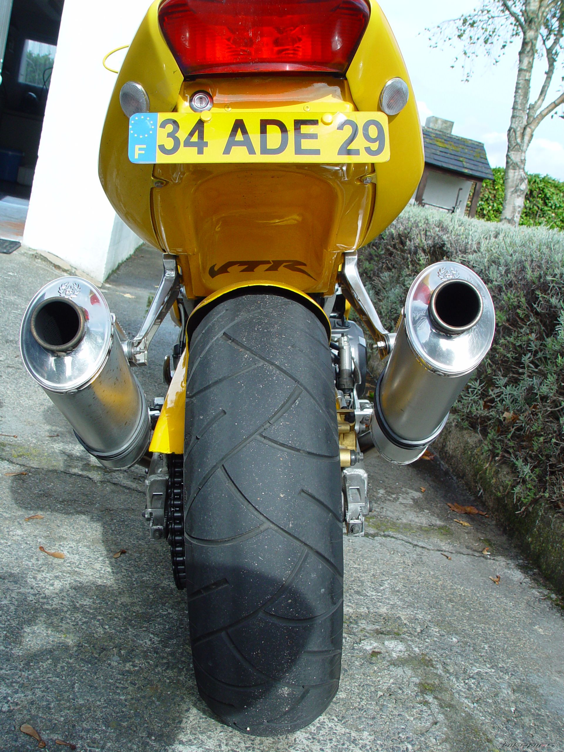 Photo 1441745