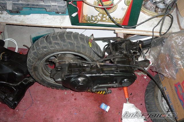 Photo 1441753