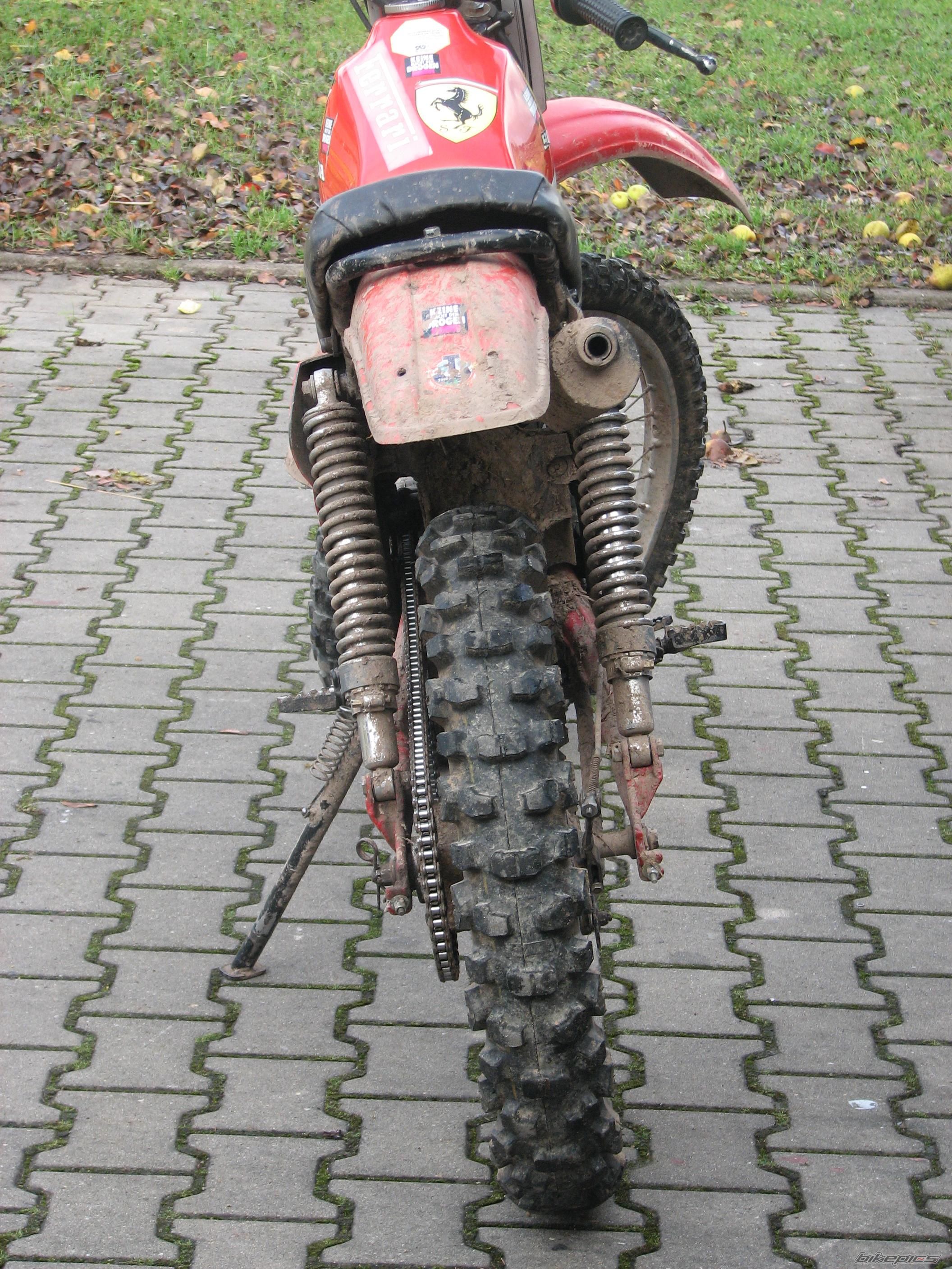Photo 1441768