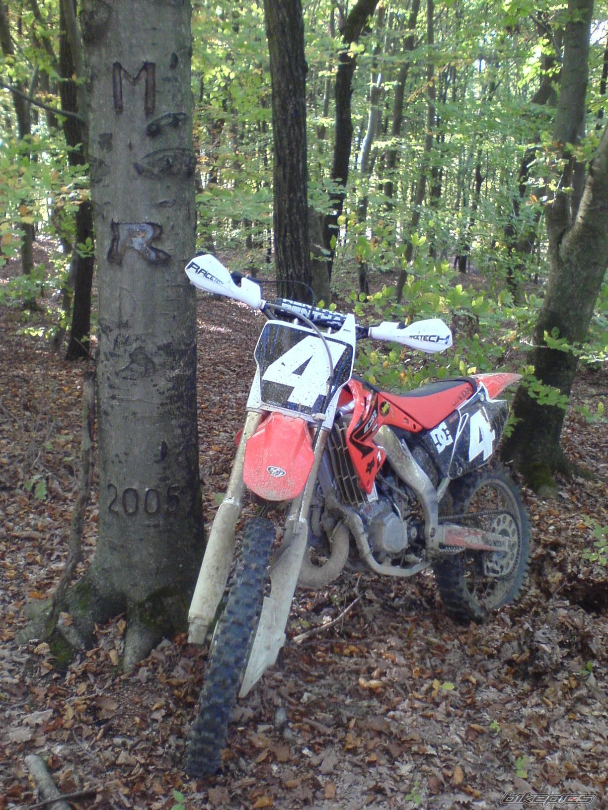 Photo 1441775
