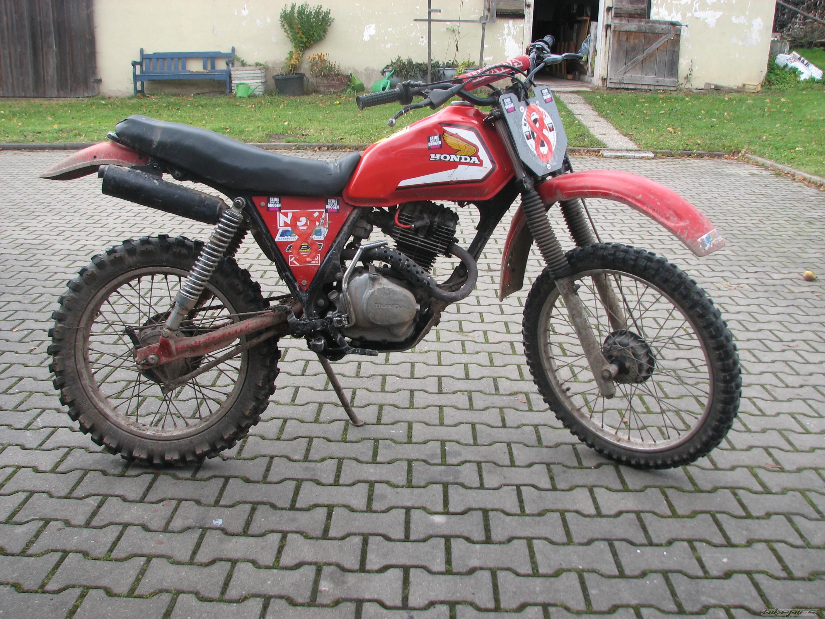 Photo 1441781