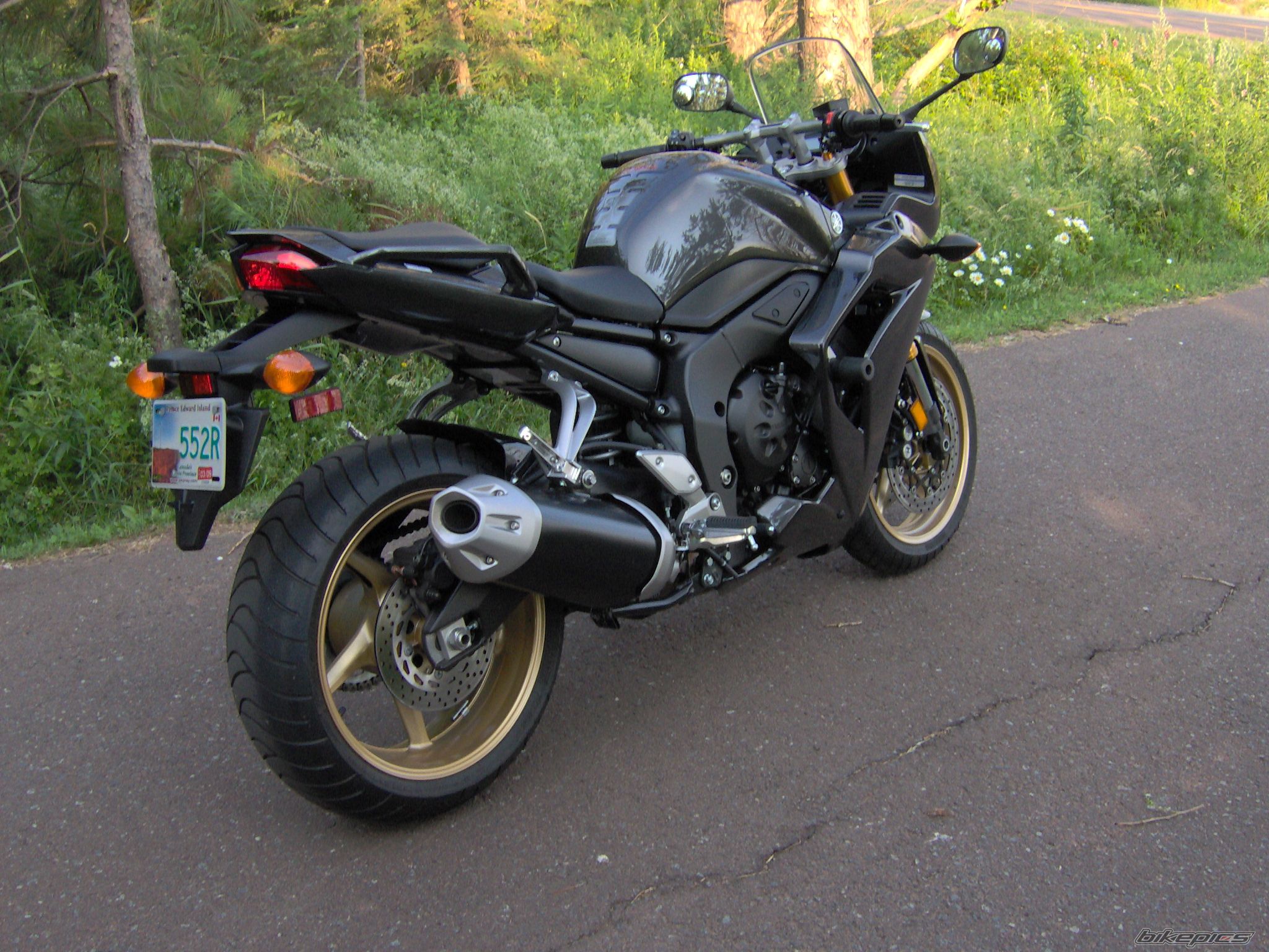 Photo 1441847