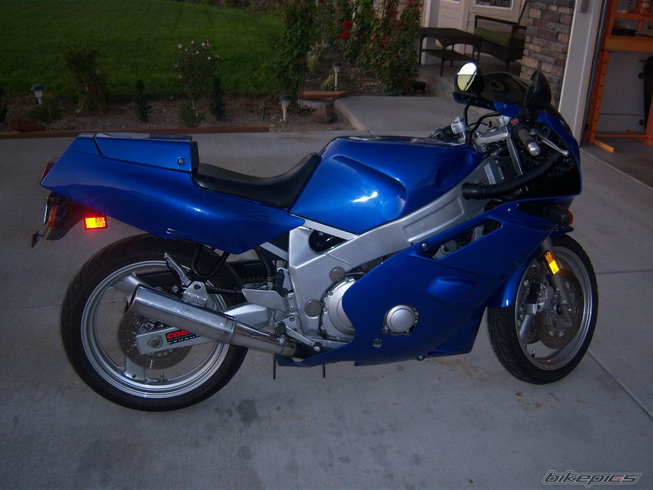 Photo 1441850