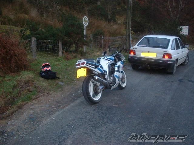 Photo 1441865