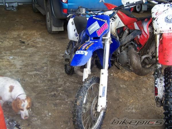 Photo 1441881