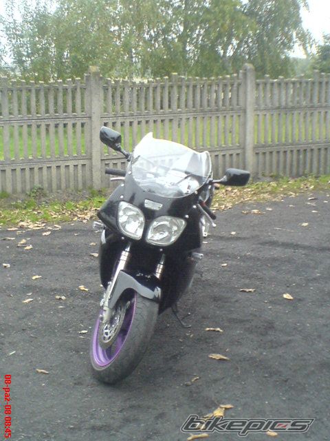 Photo 1441991