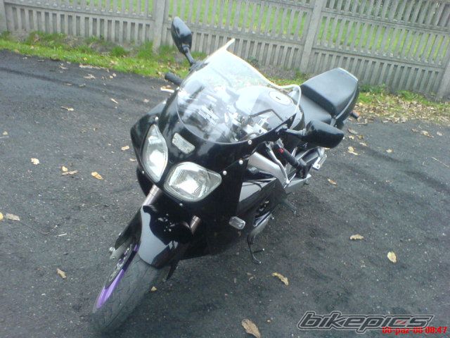 Photo 1441993