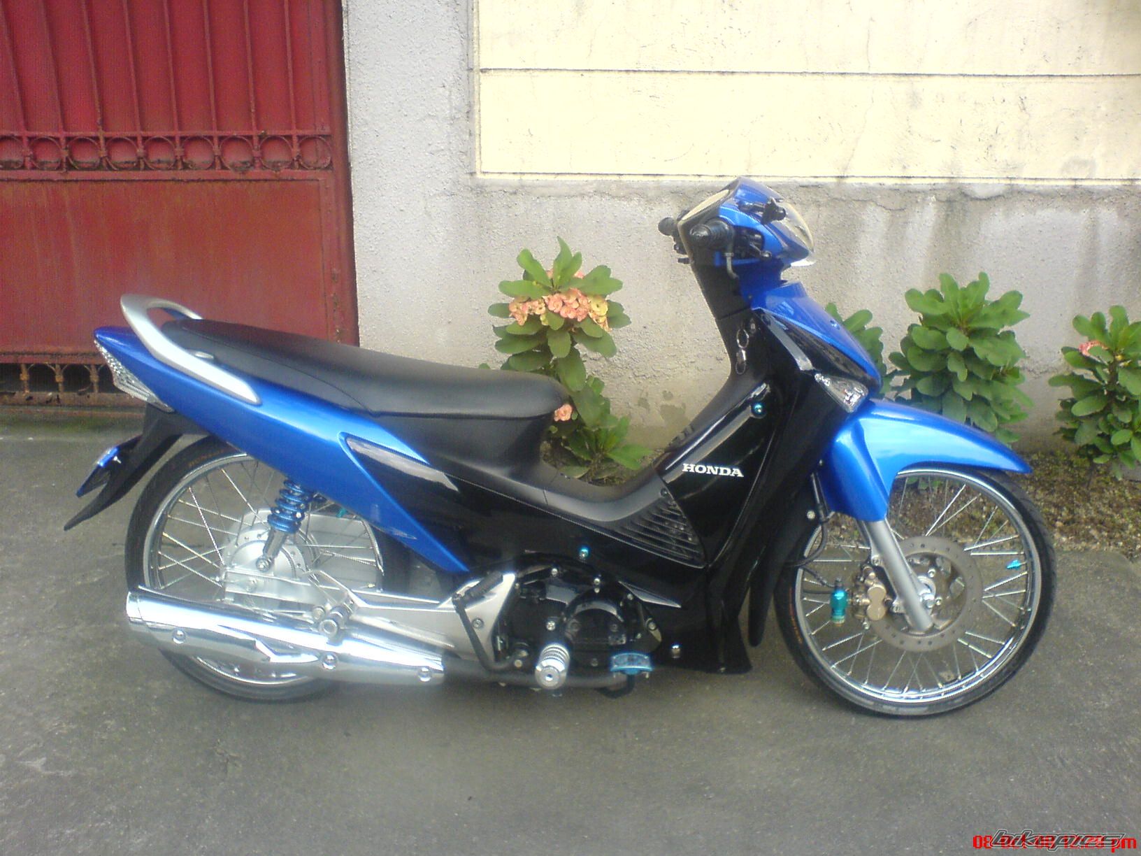 Photo 1441998