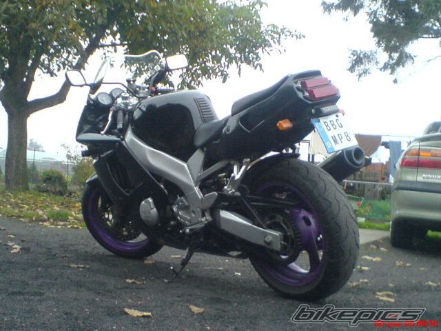Photo 1442004