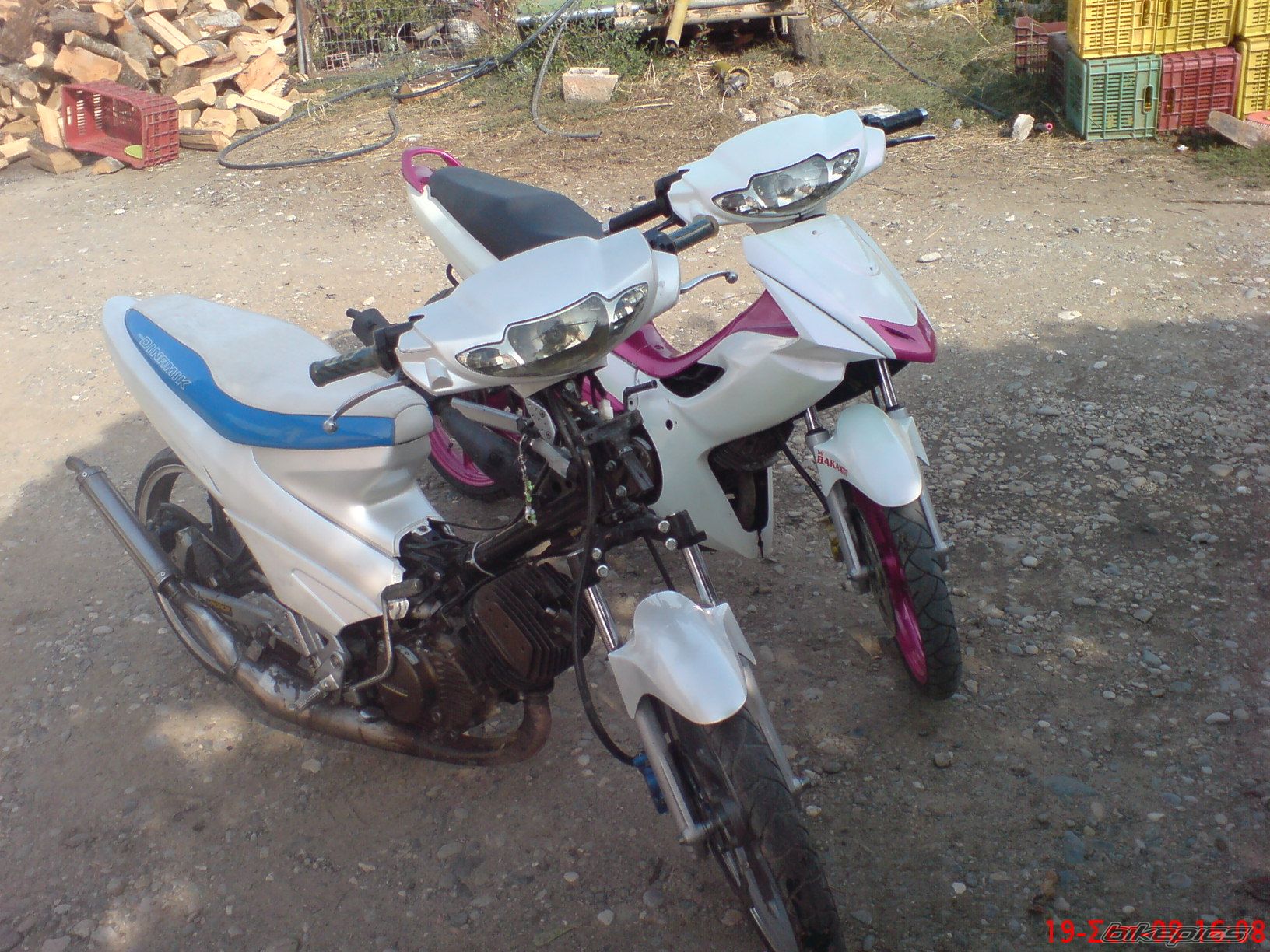 Photo 1442012