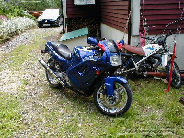 Photo 144207