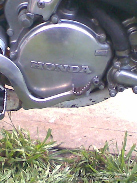 Photo 1442082