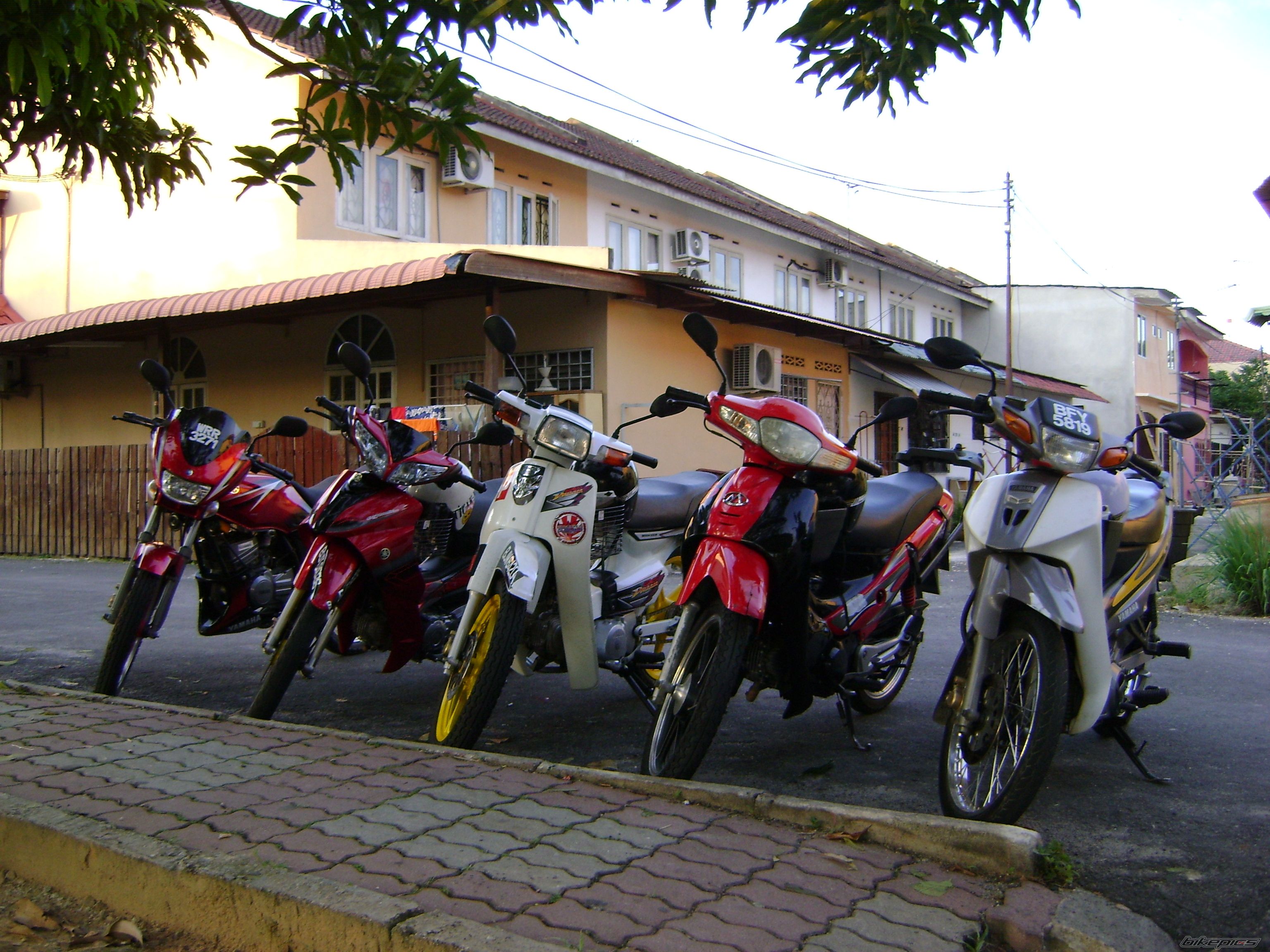 Photo 1442088