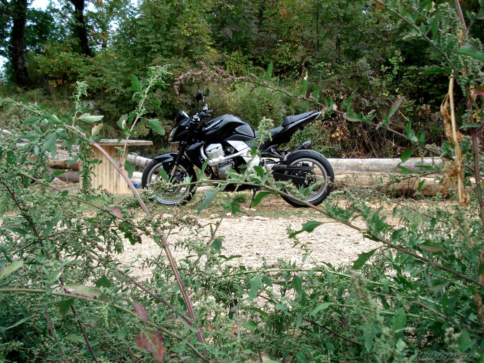 Photo 1442101
