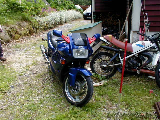 Photo 144212