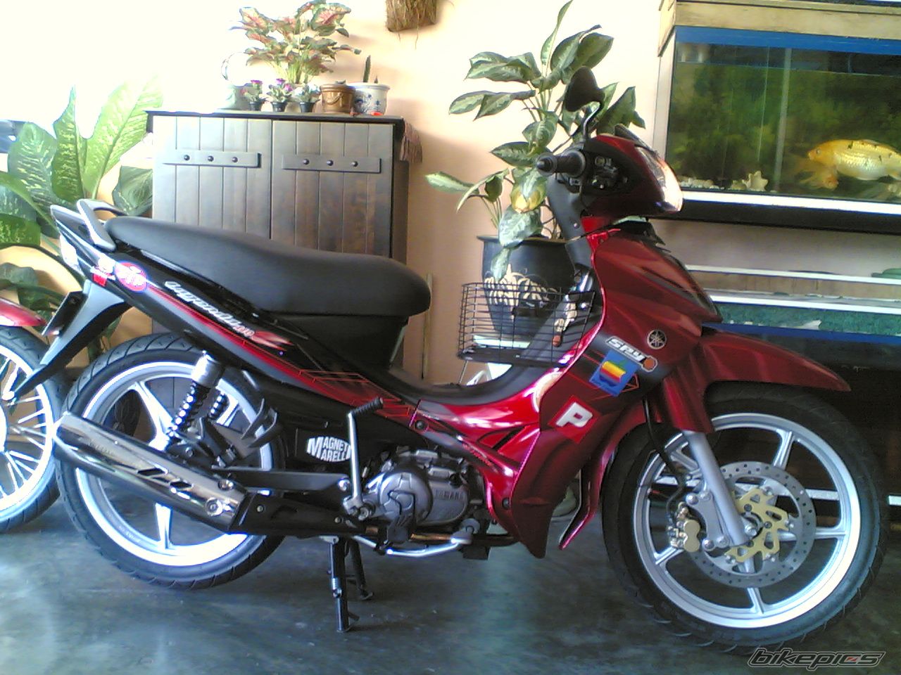 Photo 1442130