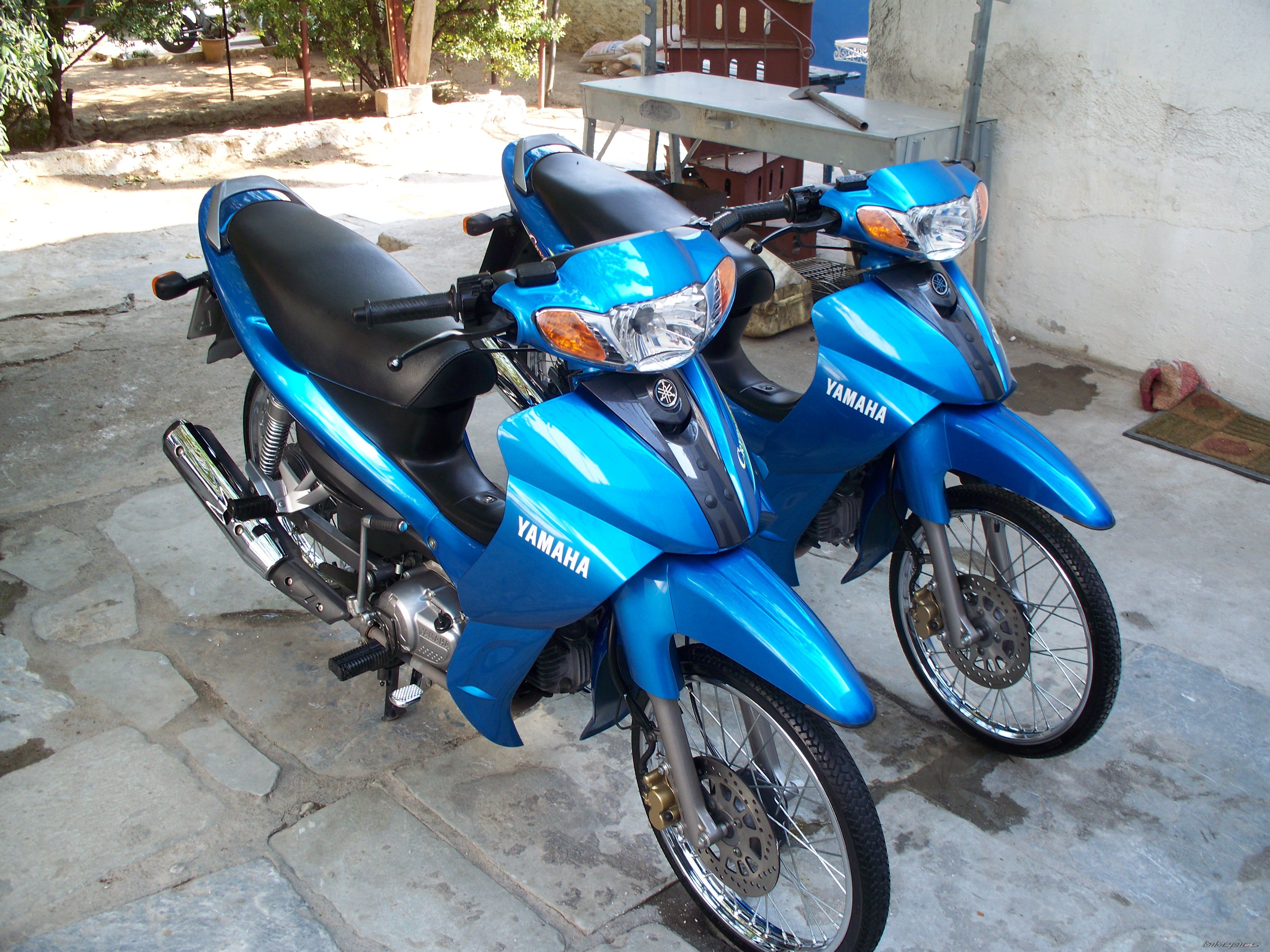 Photo 1442320