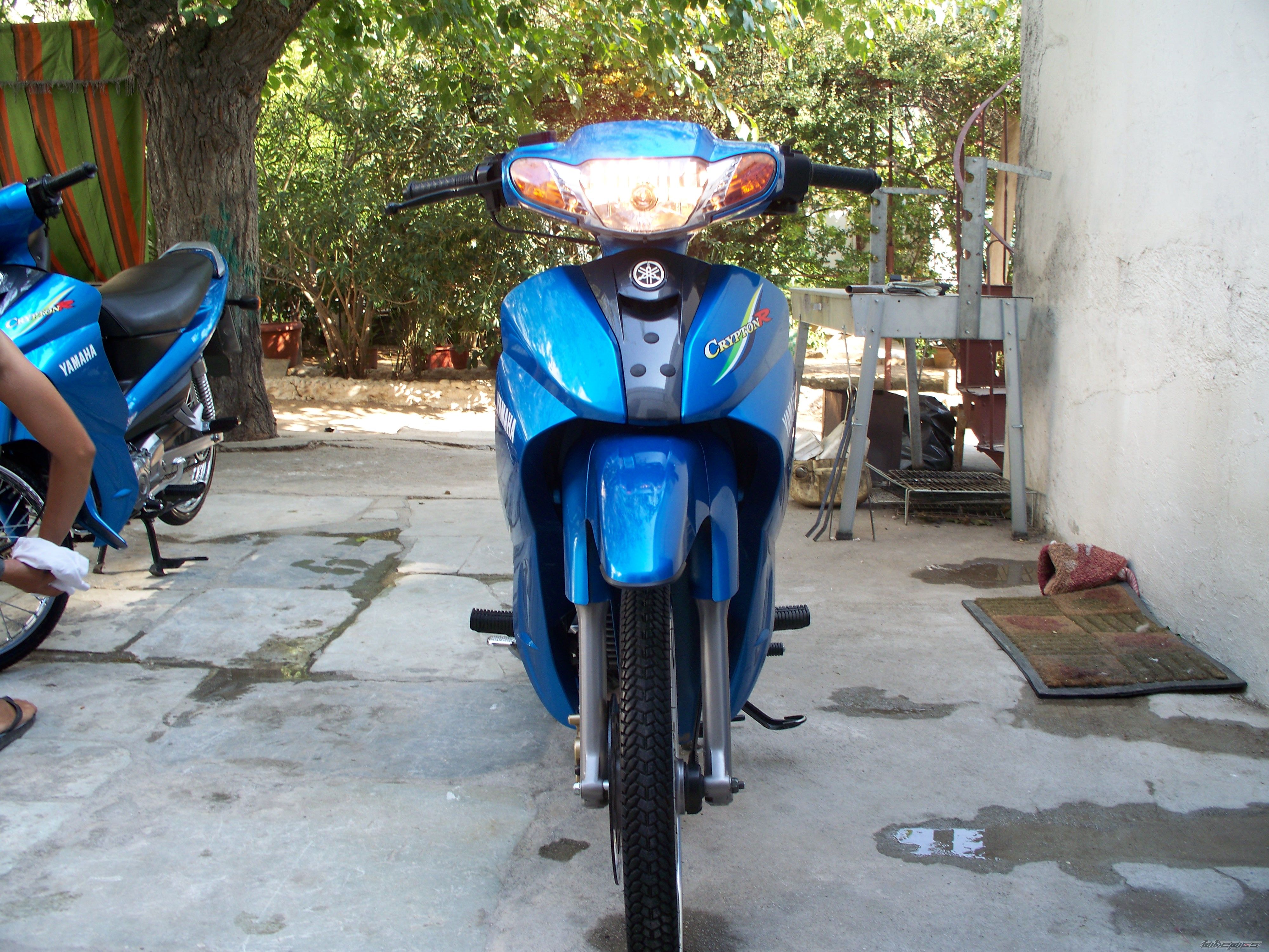 Photo 1442322