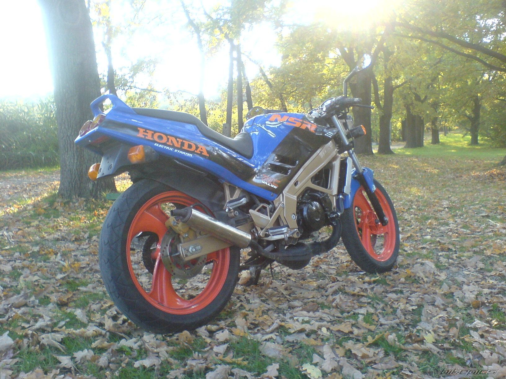 Photo 1442325