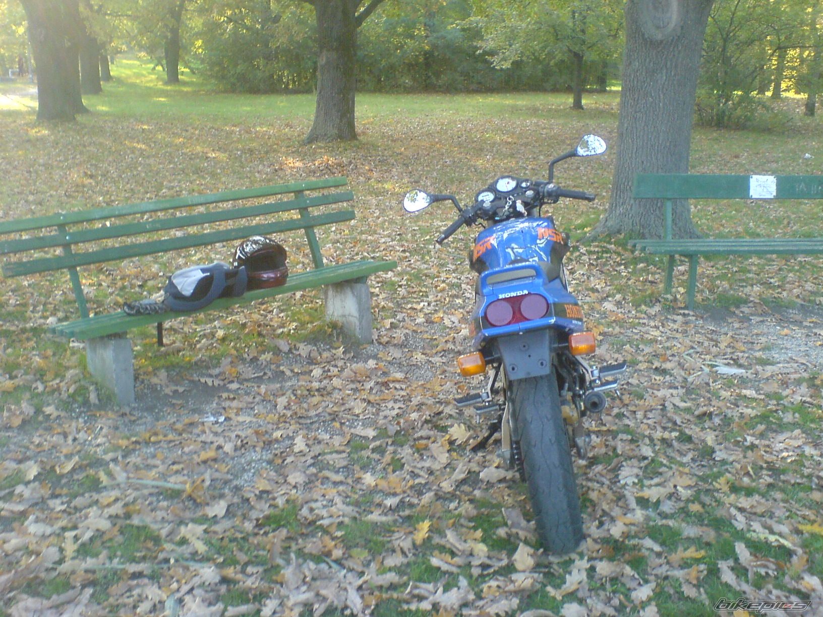 Photo 1442329