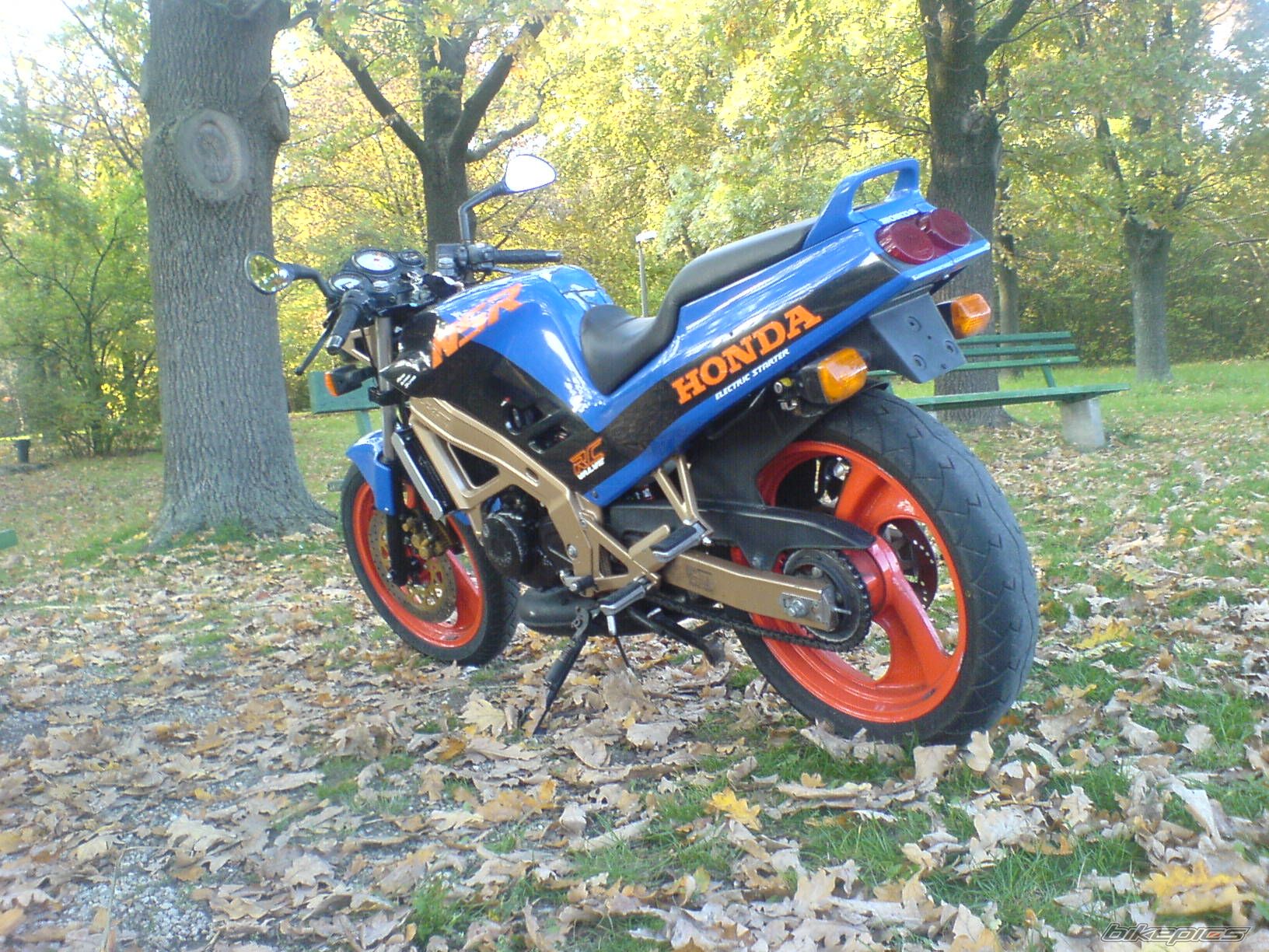Photo 1442333