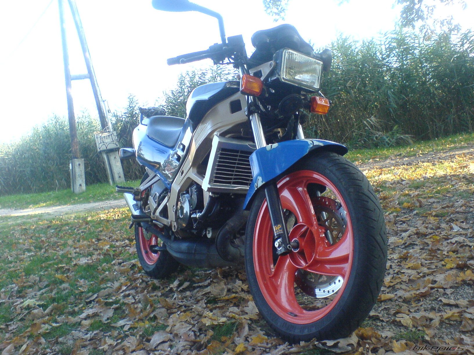 Photo 1442334