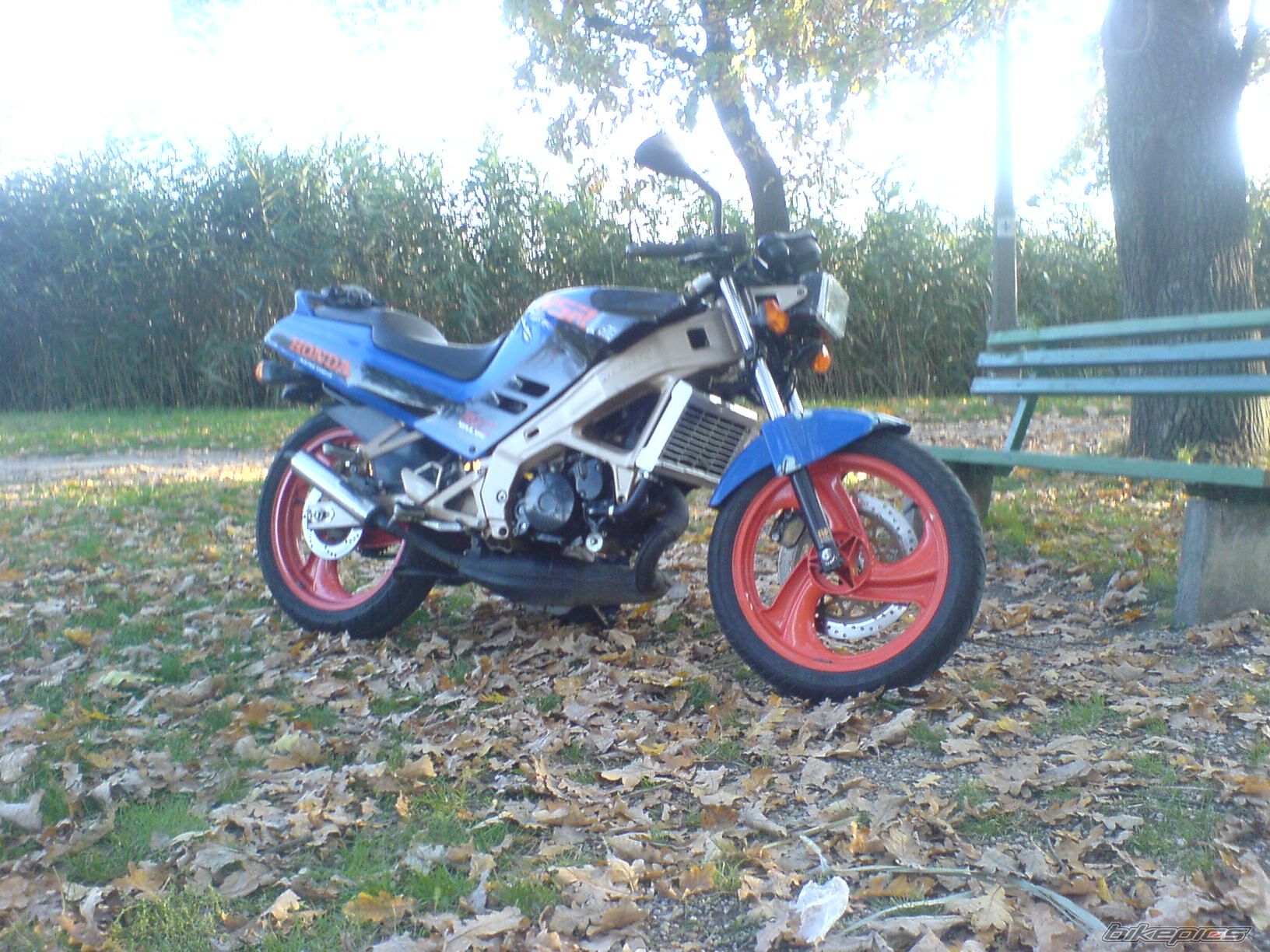Photo 1442335