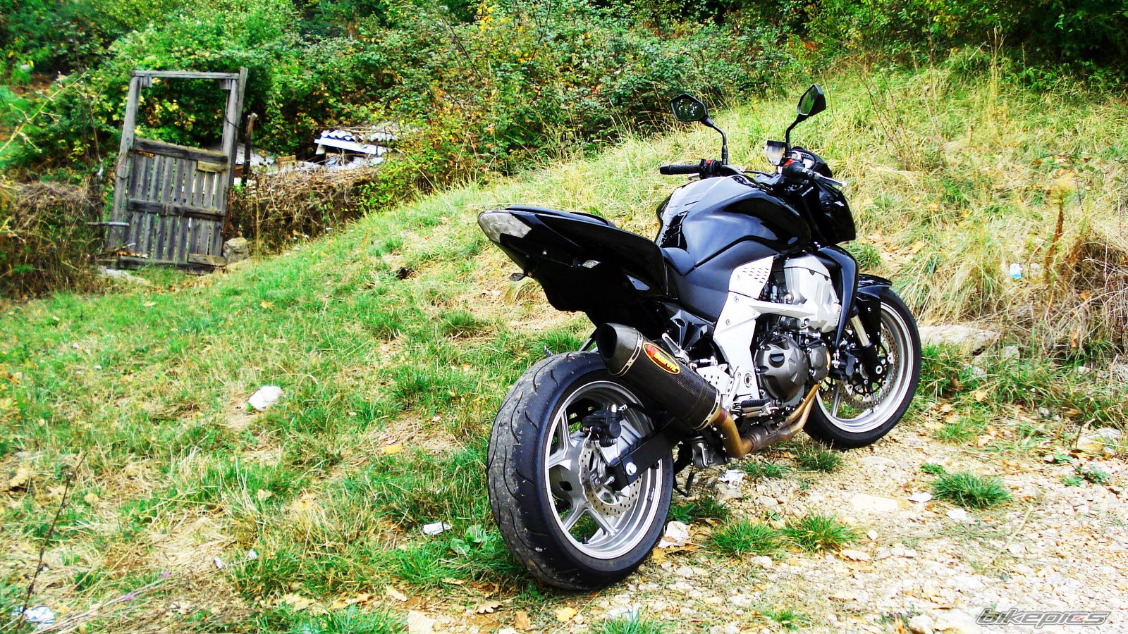 Photo 1442368