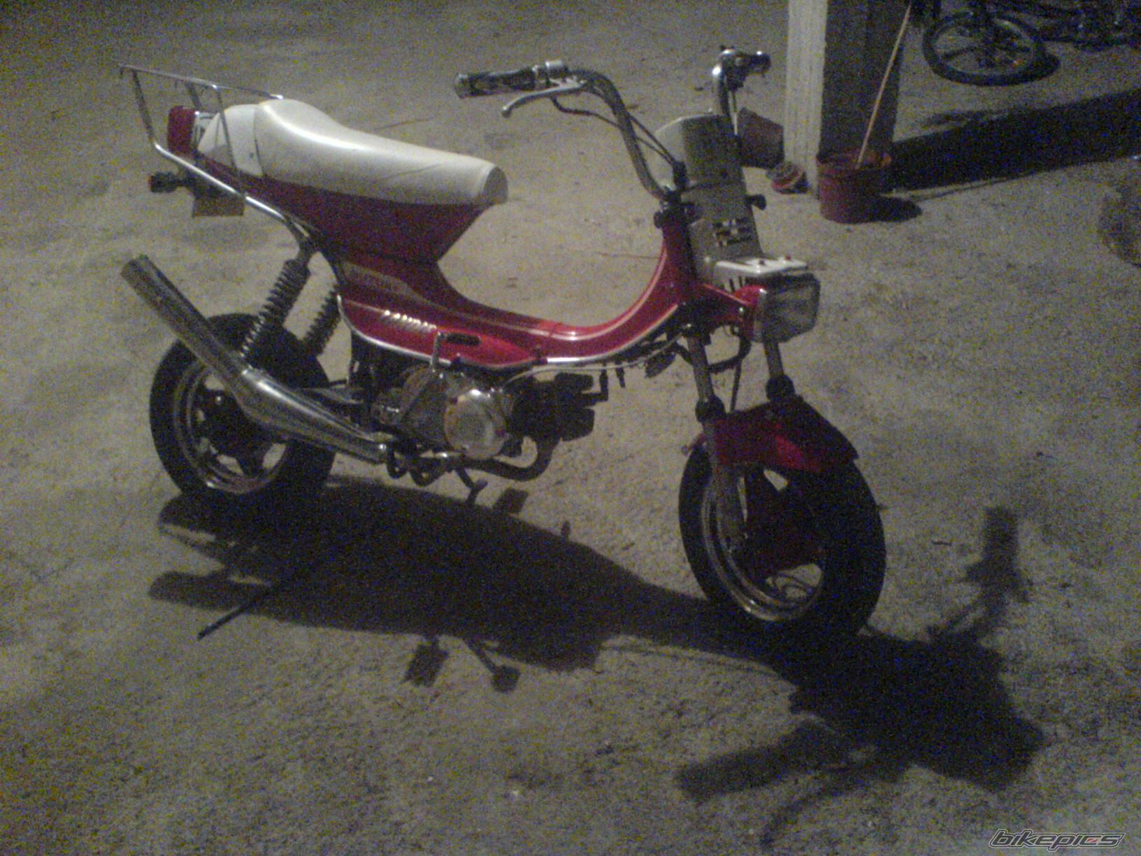 Photo 1442389