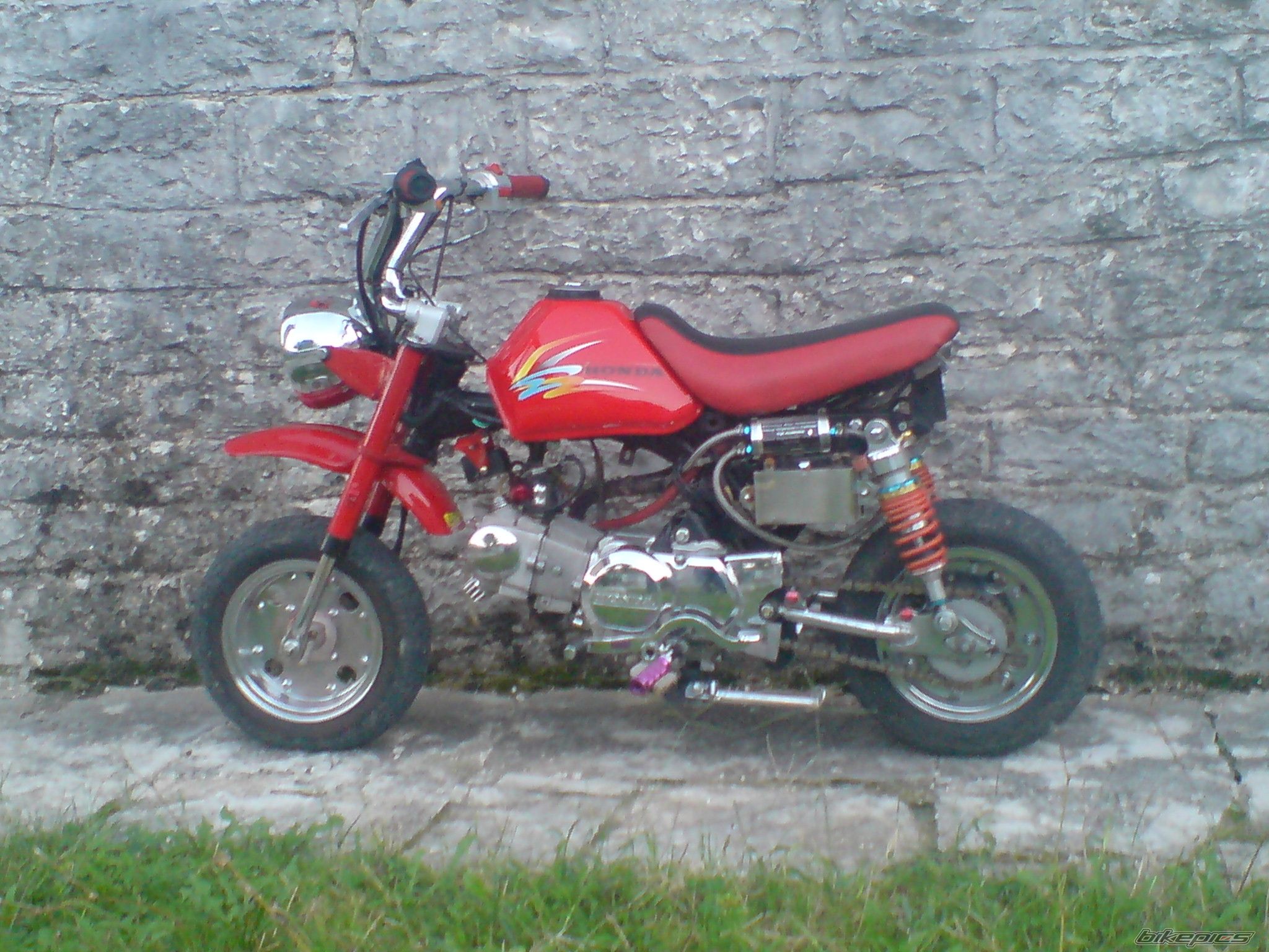 Photo 1442411