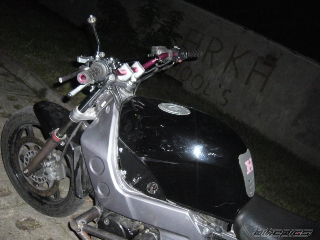 Photo 1442633