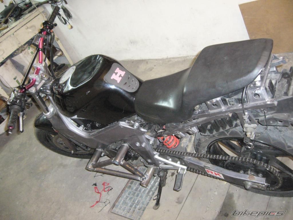 Photo 1442637