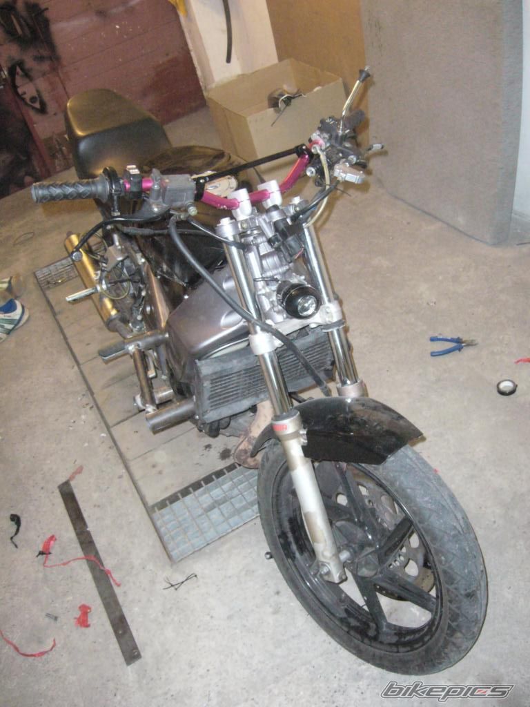 Photo 1442647
