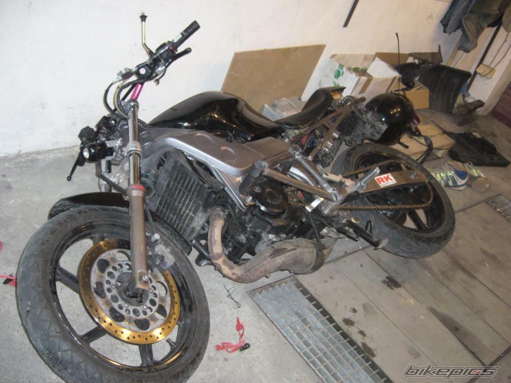Photo 1442658