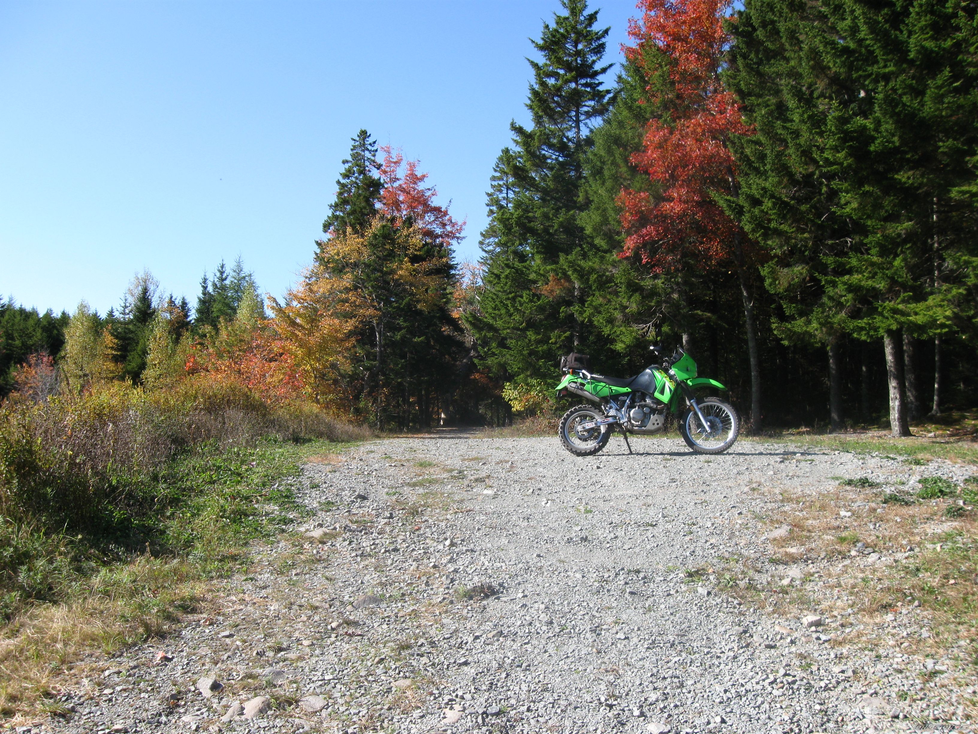 Photo 1442728