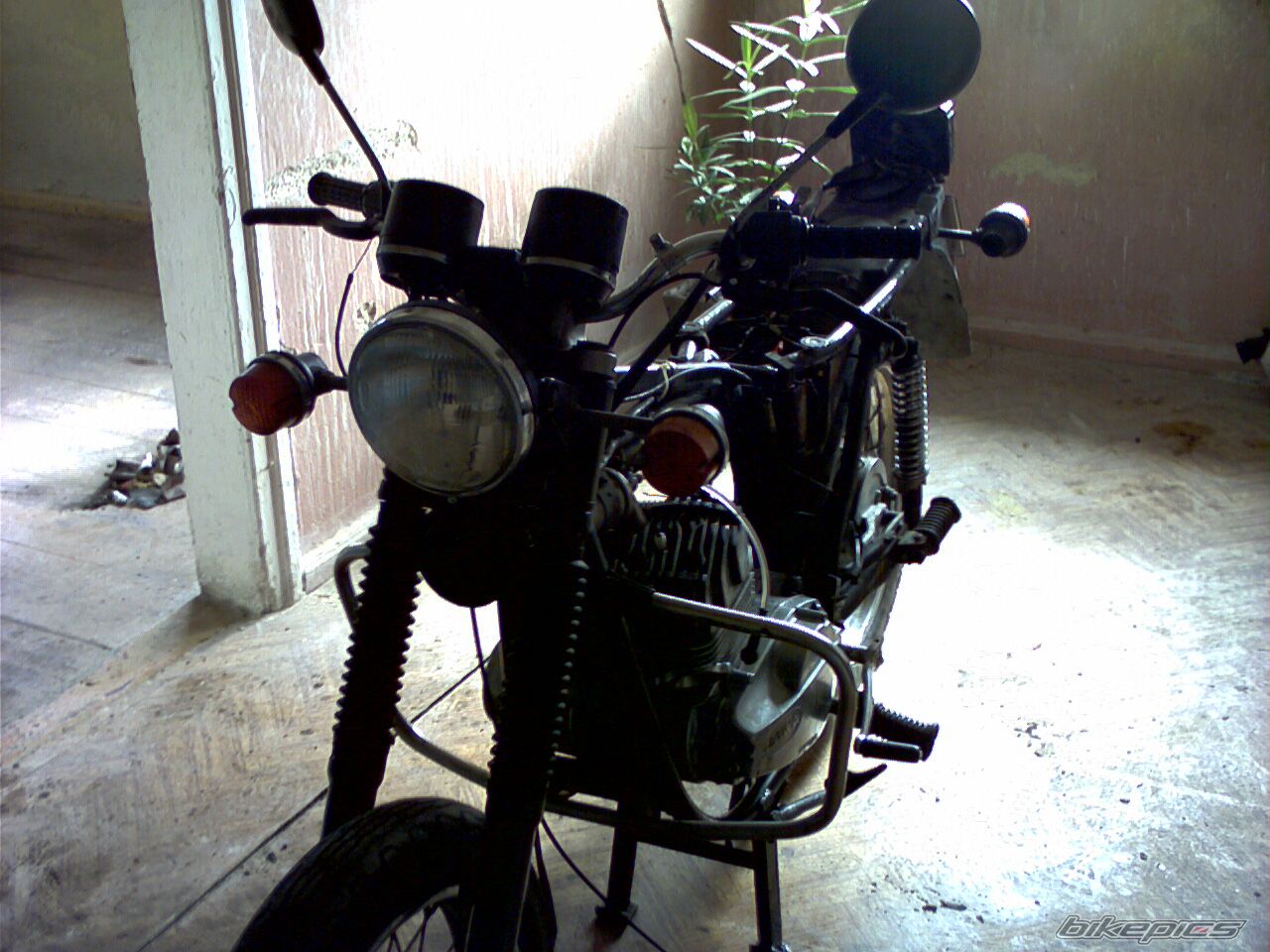 Photo 1442779