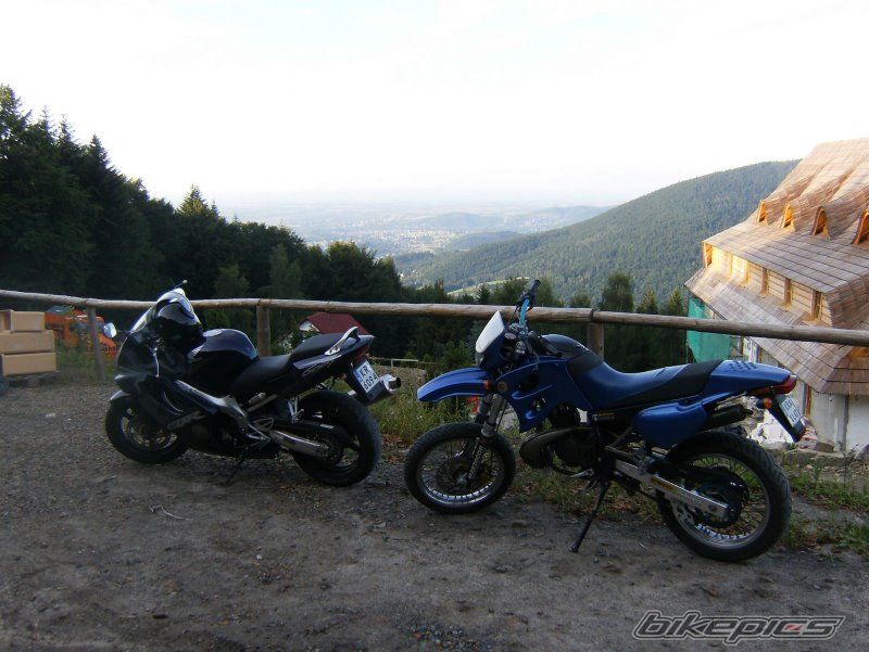 Photo 1442863
