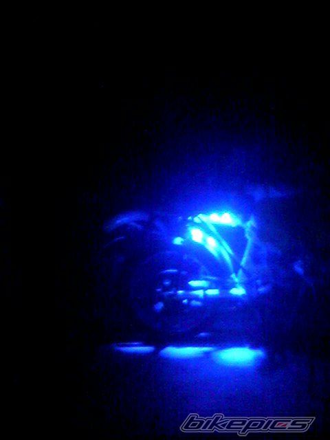 Photo 1442880