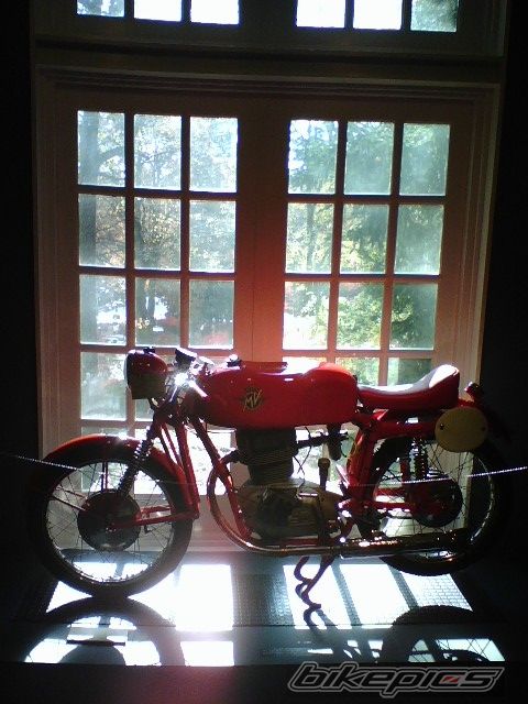 Photo 1442967