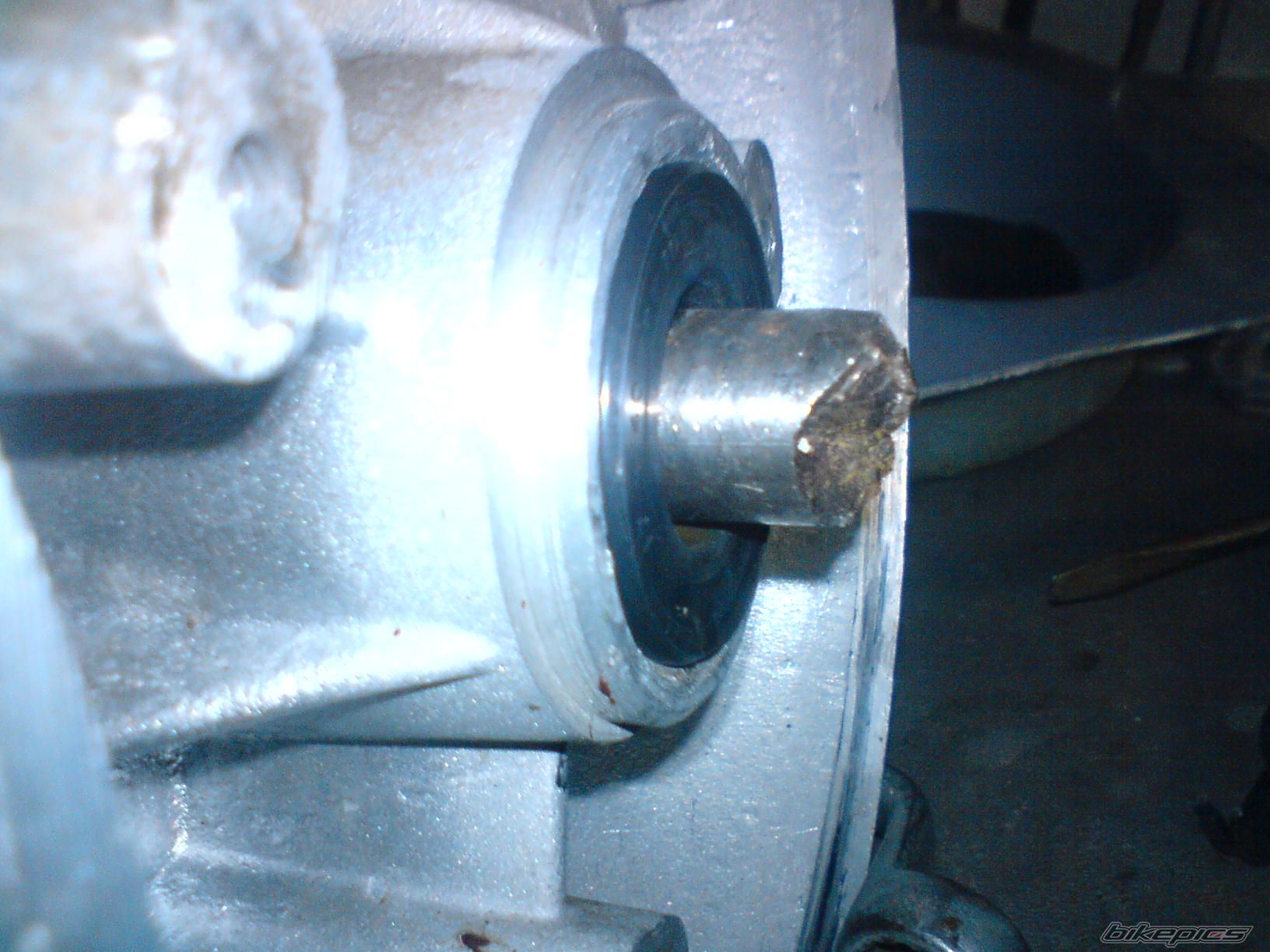 Photo 1442982