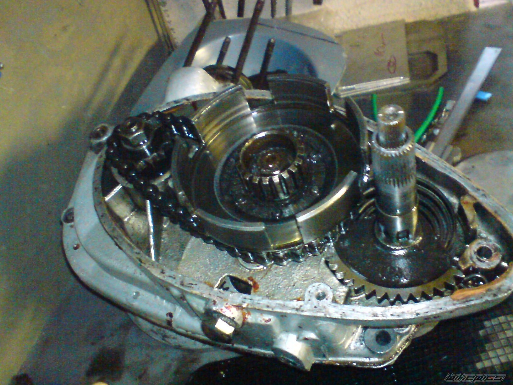 Photo 1442984