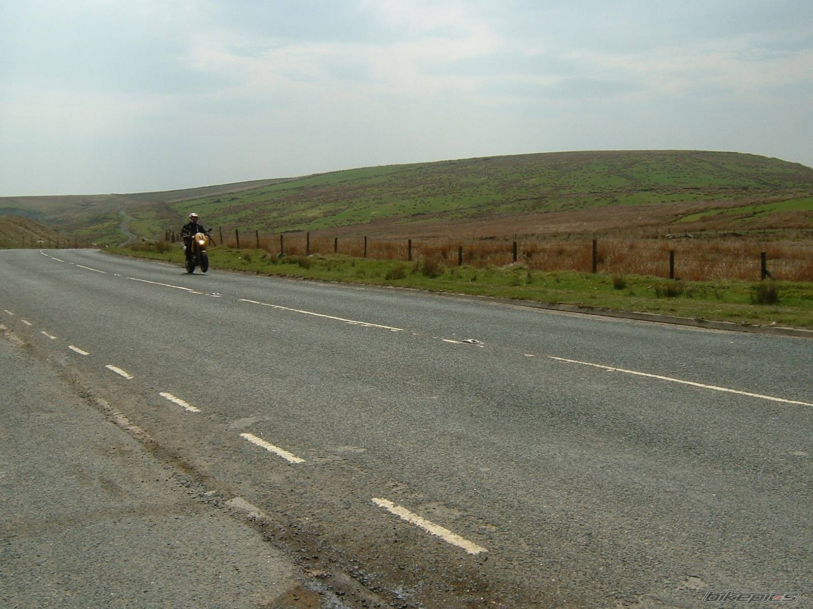 Photo 144301