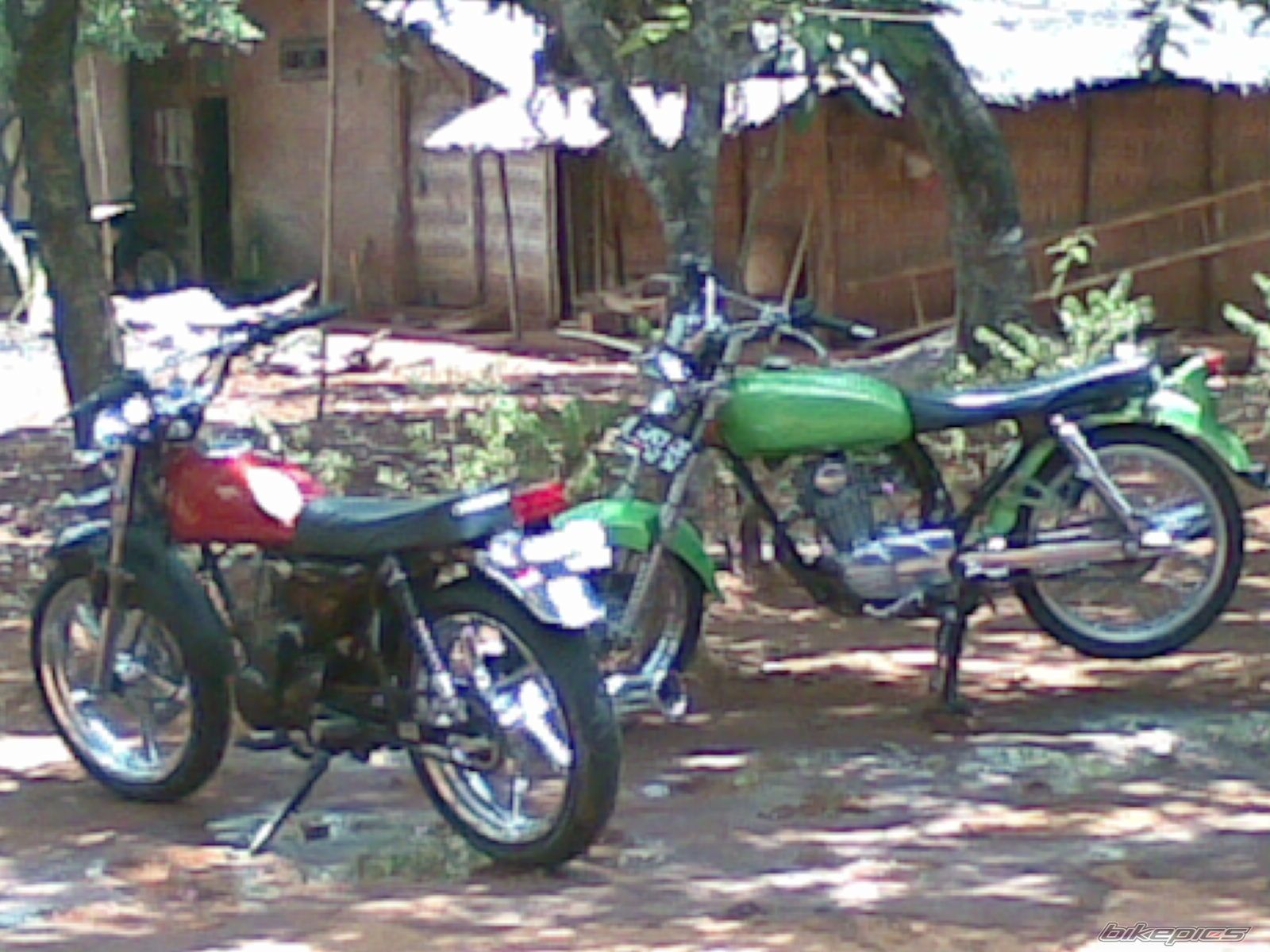 Photo 1443103