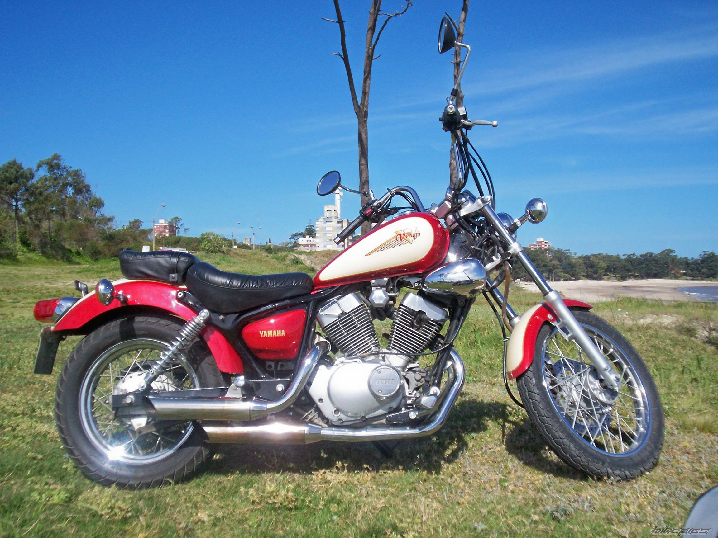 Bike Photo 1443119