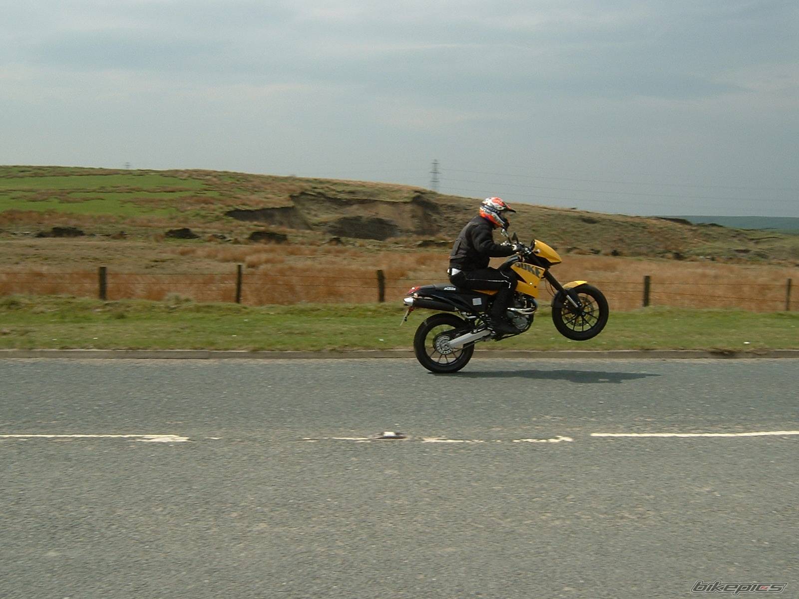 Photo 144314