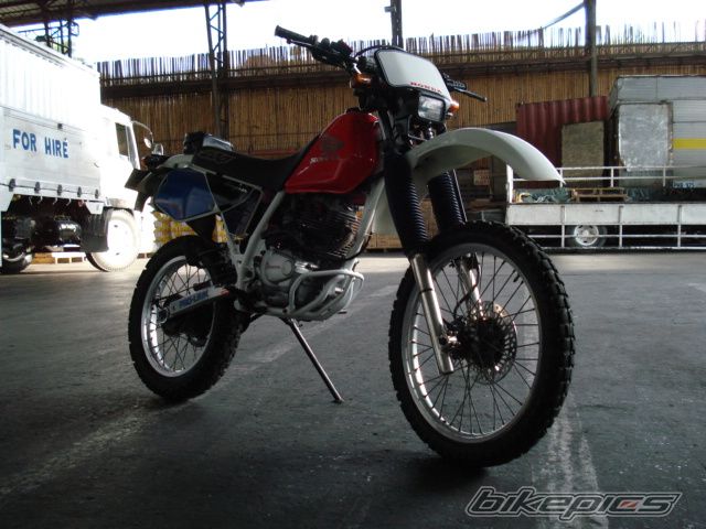 Photo 1443264