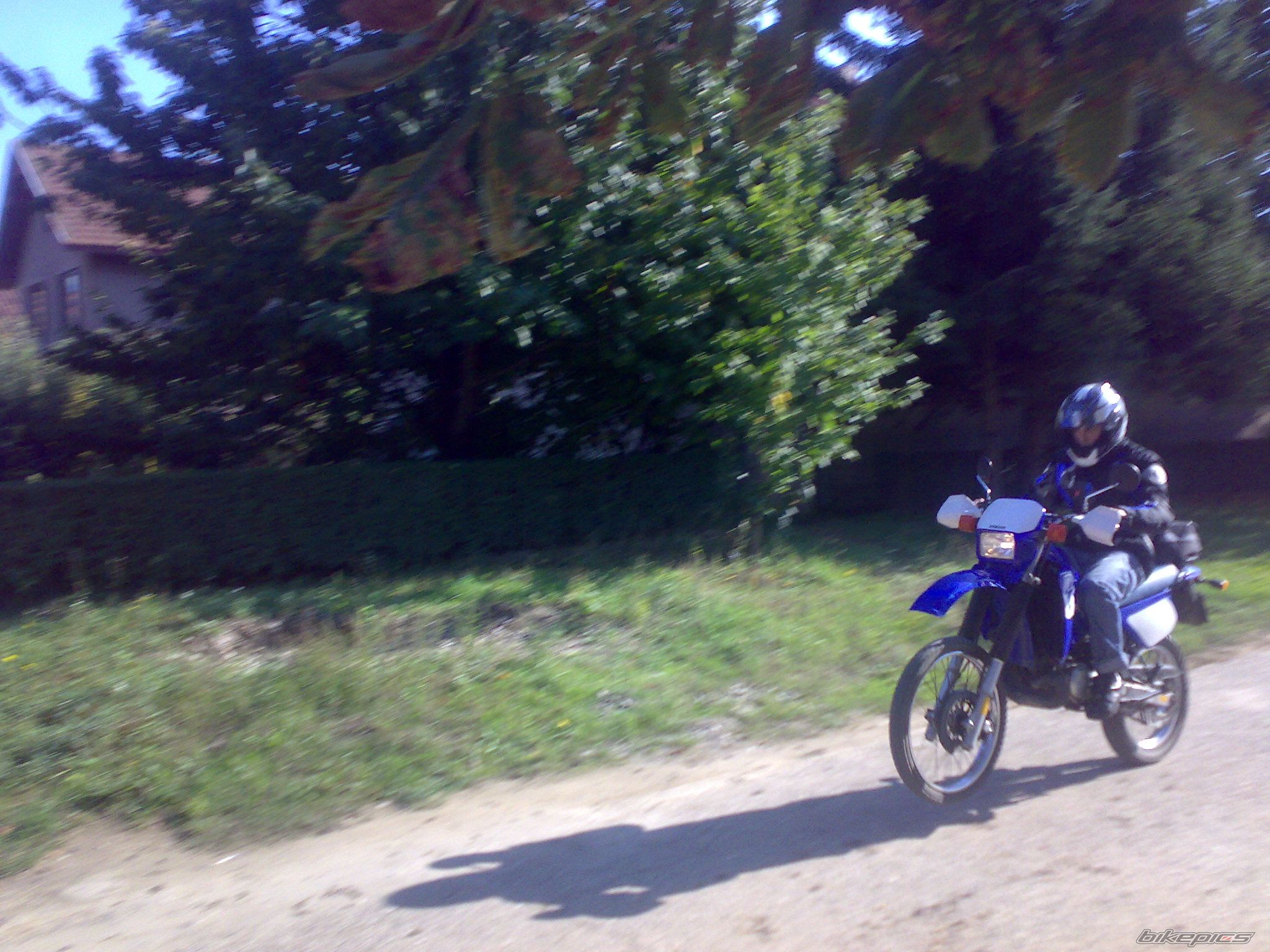 Photo 1443379