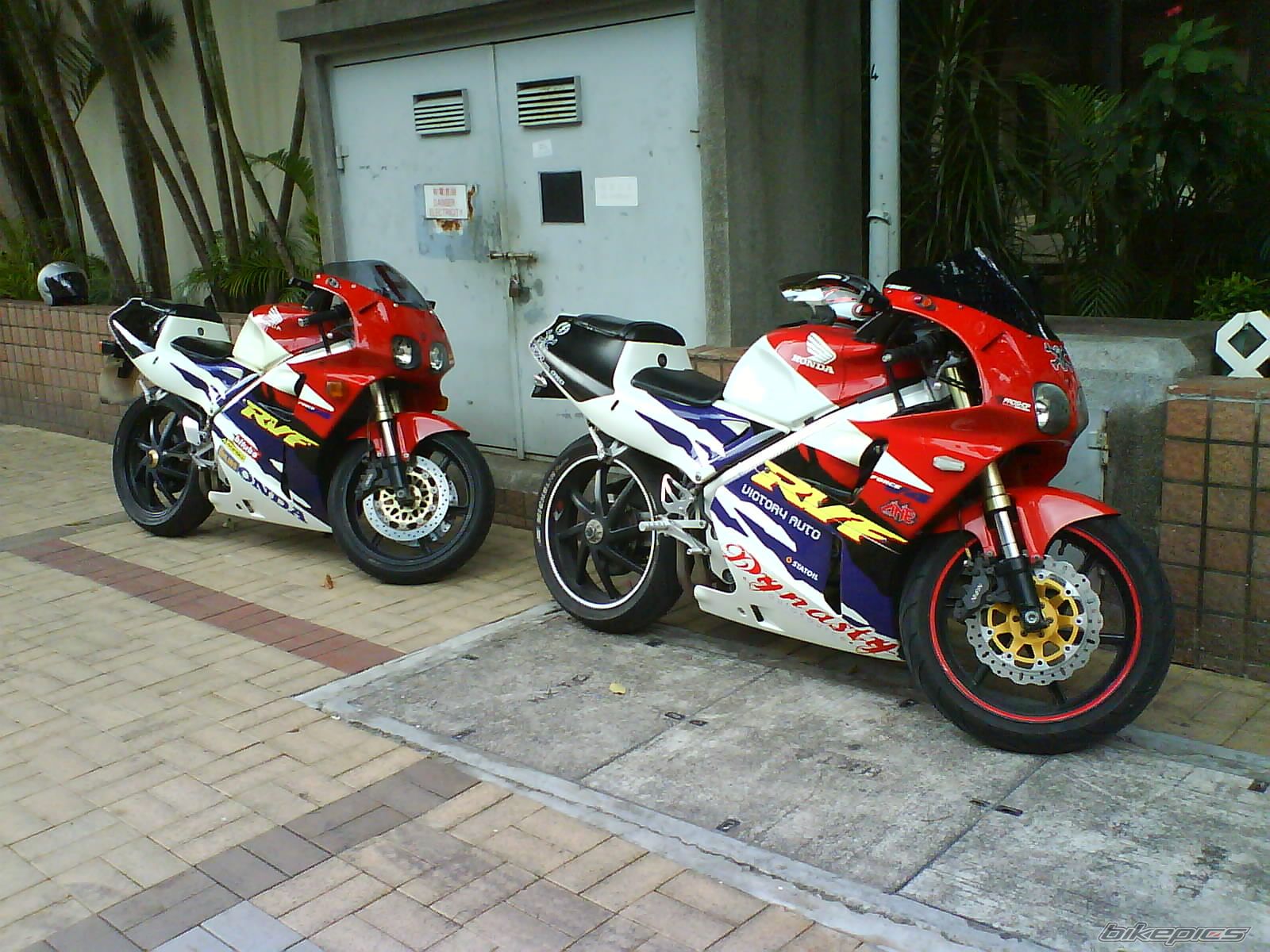 Photo 1443408